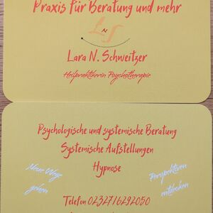 Lara N. Schweitzer